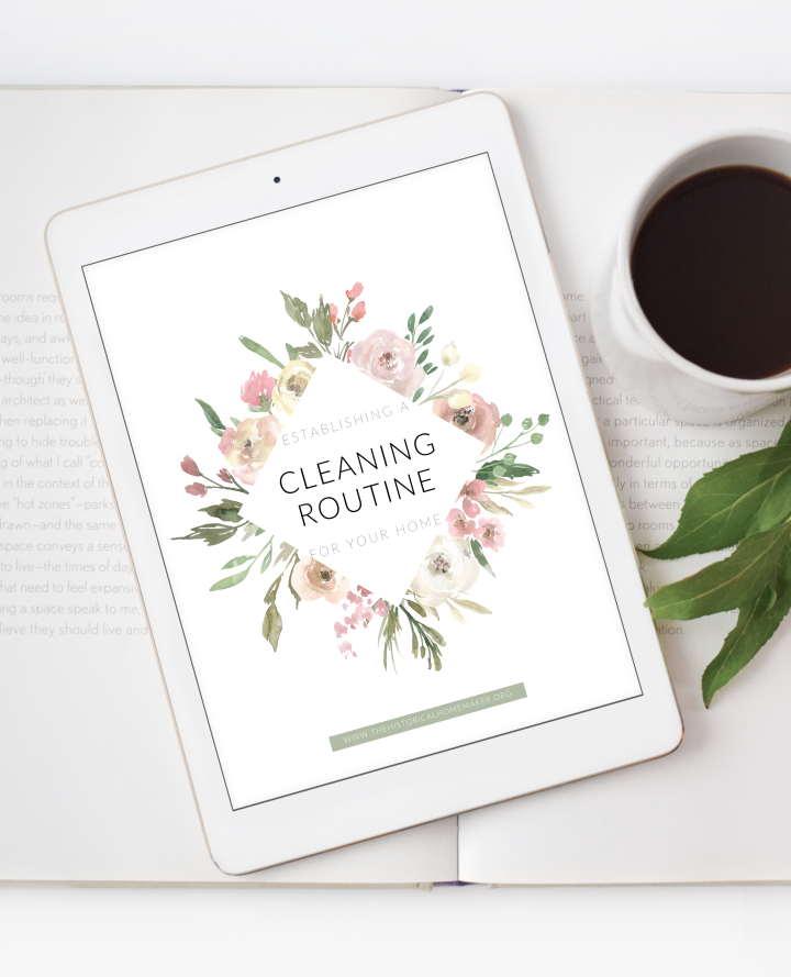 Establishing A Cleaning Routine for Your Home with FREE Workbook